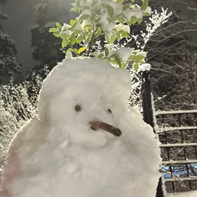 Profilbild för Maria Lövfors